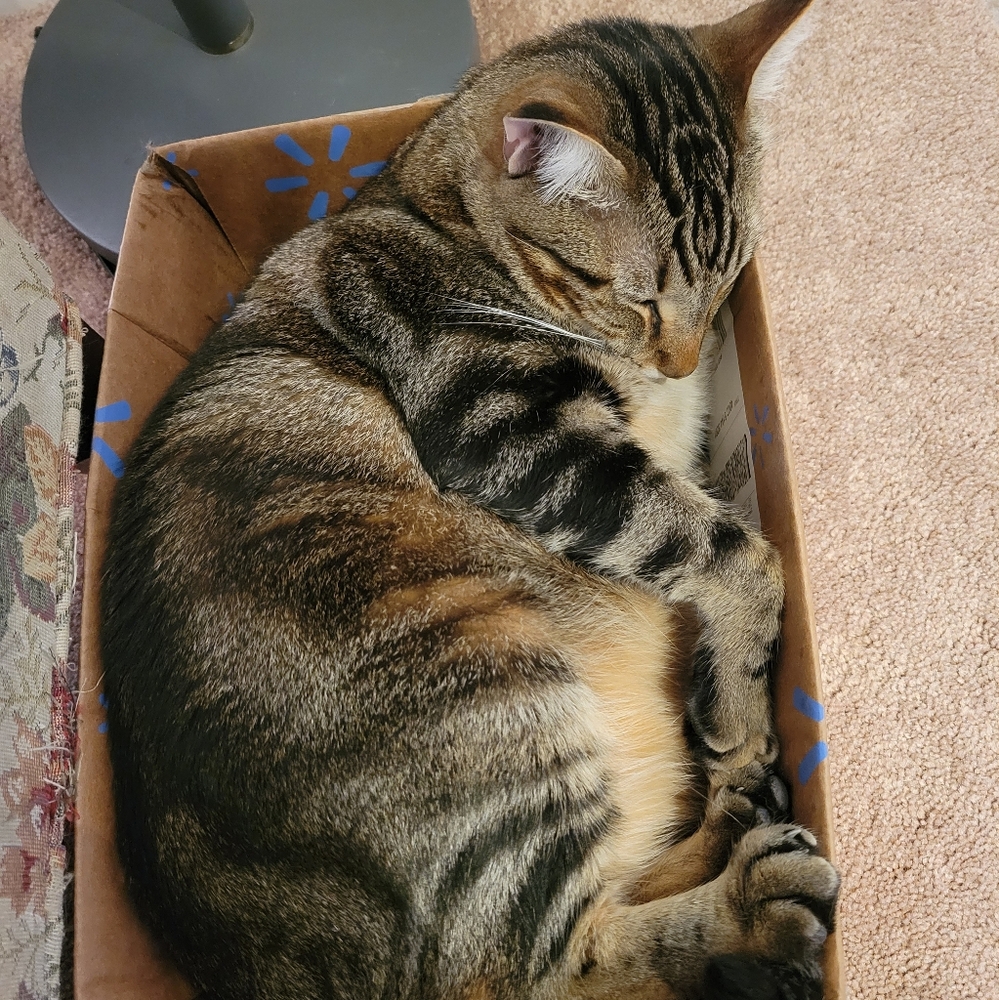 Extra shipping lable